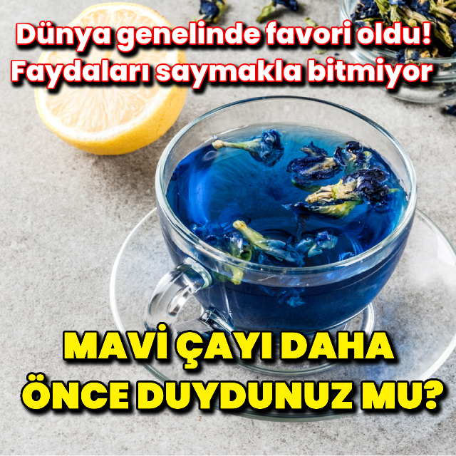 Mavi çayı daha önce duymuş muydunuz?