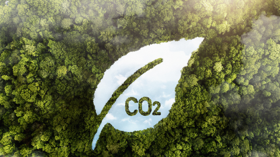 Karbon Döngüsü Nedir?