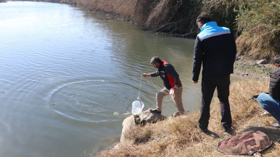 Ceyhan'da "balım ölümleri" incelemesi