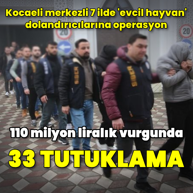 'Evcil hayvan' dolandırıcılarına operasyon: 33 tutuklama