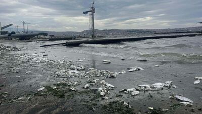 Kirlilik ve balık ölümlerine soruşturma