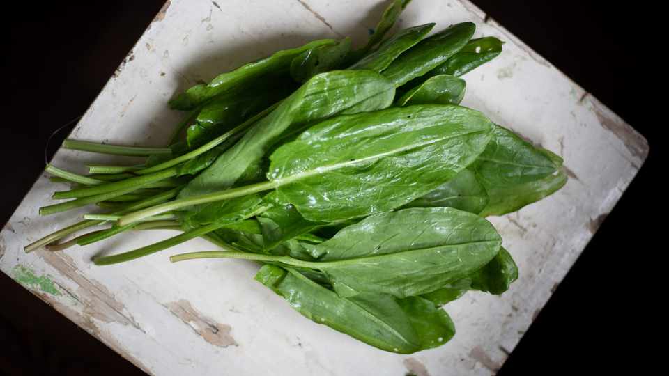 Vitamin deposu kuzu kulağının faydaları neler?