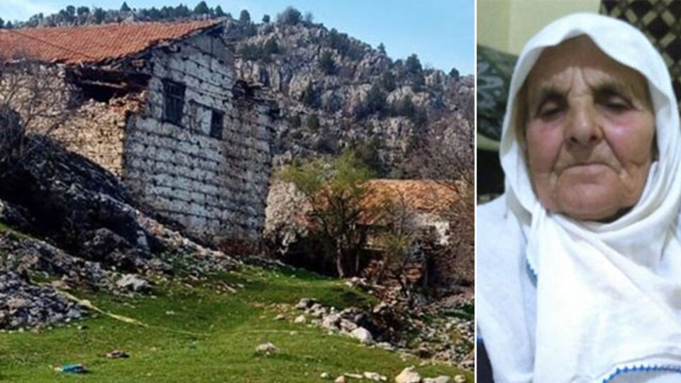 Yaşlı kadını öldüren köpeklerin sahibine ödül gibi ceza!