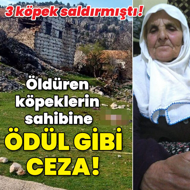 Yaşlı kadını öldüren köpeklerin sahibine ödül gibi ceza!