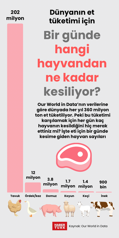 Bir günde hangi hayvandan ne kadar kesiliyor?