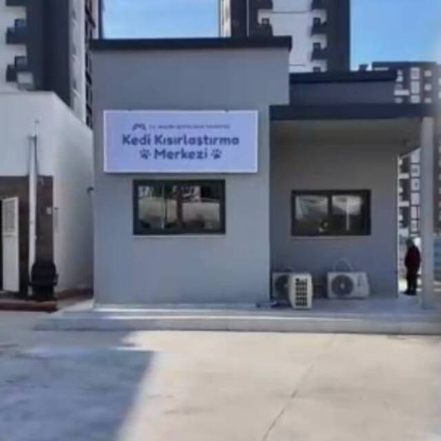 Mersin'de "Kedi Kısırlaştırma Merkezi"