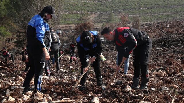 İzmir polisi 5 bin fidan dikti