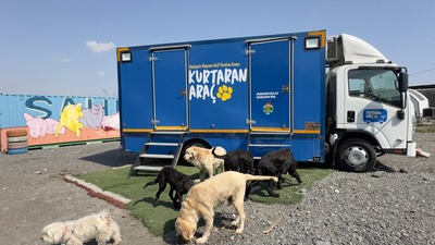 Anadolu Sigorta'dan 'Kurtaran Araç' ile sokak hayvanlarına destek