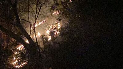 Rize'de anız ateşi ormana sıçradı