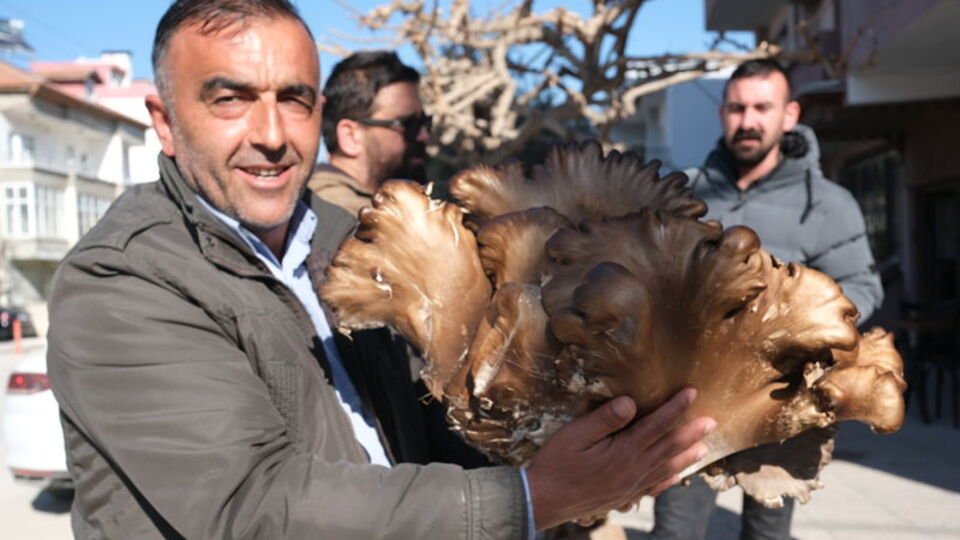 Mersinli çiftçi ceviz bahçesinde buldu