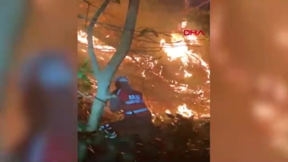 Anız yangını ormana sıçradı: 15 dönüm zarar gördü