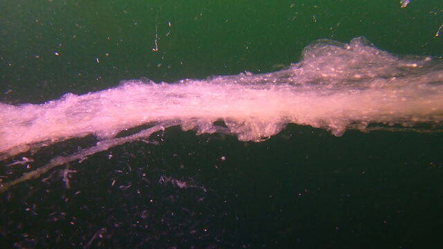 Prof. uyardı! 2021'deki gibi olabilir!