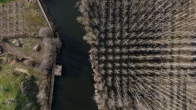 Türkiye'nin ilk iklim kanunu Meclis'e geliyor