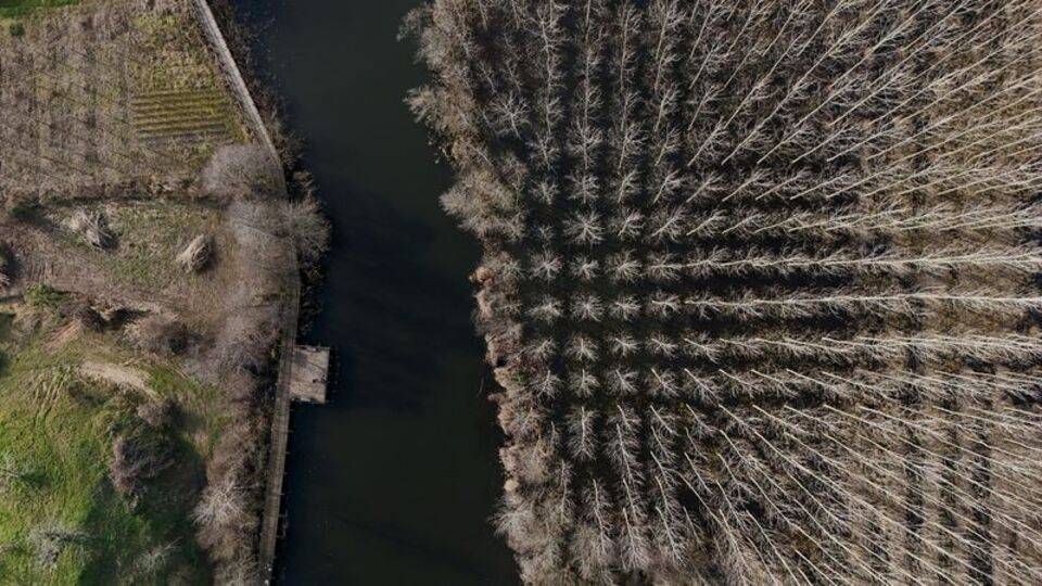 Türkiye'nin ilk iklim kanunu Meclis'e geliyor
