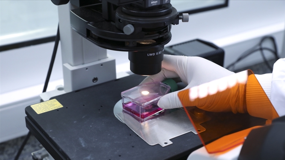 SMA tedavisine ilişkin açıklama