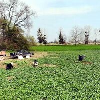 İstihdamda Suriyeli işçi alarmı