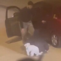 Kadını ve köpeğini defalarca tekmeledi!