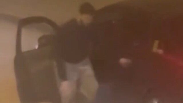 Kadını ve köpeğini defalarca tekmeledi!