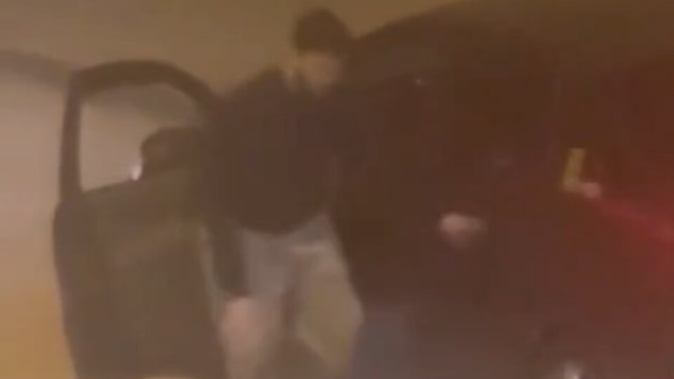 Kadını ve köpeğini defalarca tekmeledi!