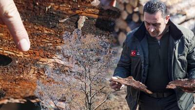 Milimetrik tehlike: 15 günde kurutuyorlar!