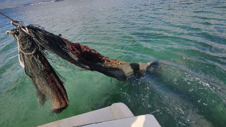 24 bin metrekare hayalet ağ temizlendi