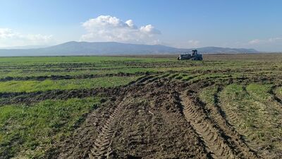 Marmara Gölü'ndeki izinsiz ekime müdahale