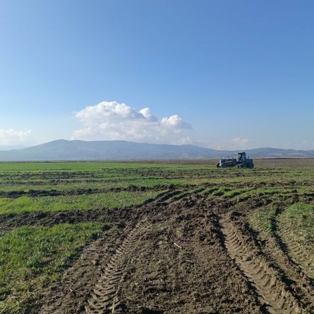 Marmara Gölü'ndeki izinsiz ekime müdahale