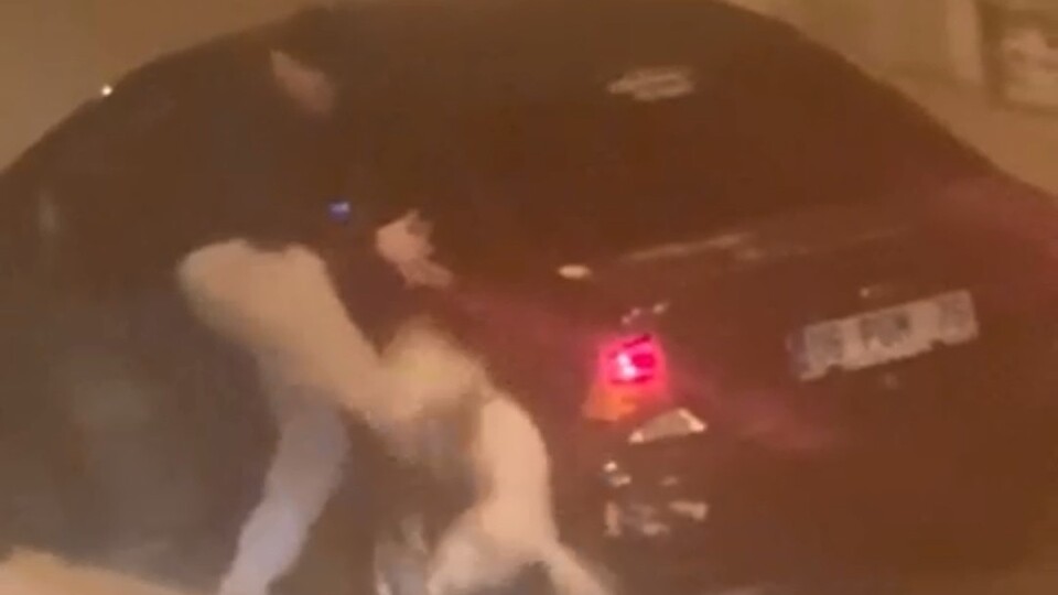 Aşağılık saldırgana tutuklama kararı!