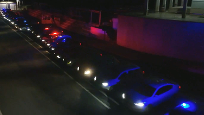 2 suç örgütü çökertildi! 5 milyar liralık vurgun