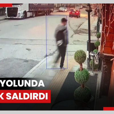 Okul yolunda köpek saldırdı; lise öğrencisi kolundan yaralandı