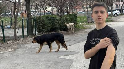 Okul yolunda köpek saldırdı
