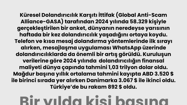 Bir yılda kişi başına ne kadar dolandırılıyoruz?