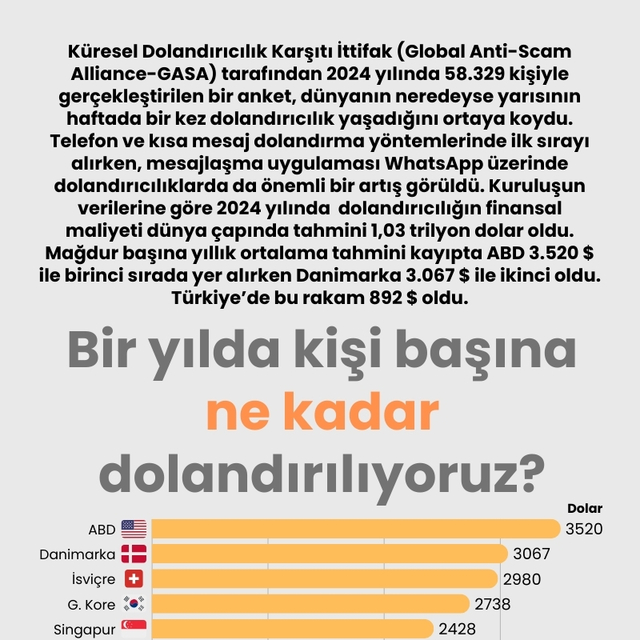 Bir yılda kişi başına ne kadar dolandırılıyoruz?