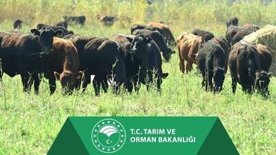 "Kırsalda Bereket, Hayvancılığa Destek Projesi"