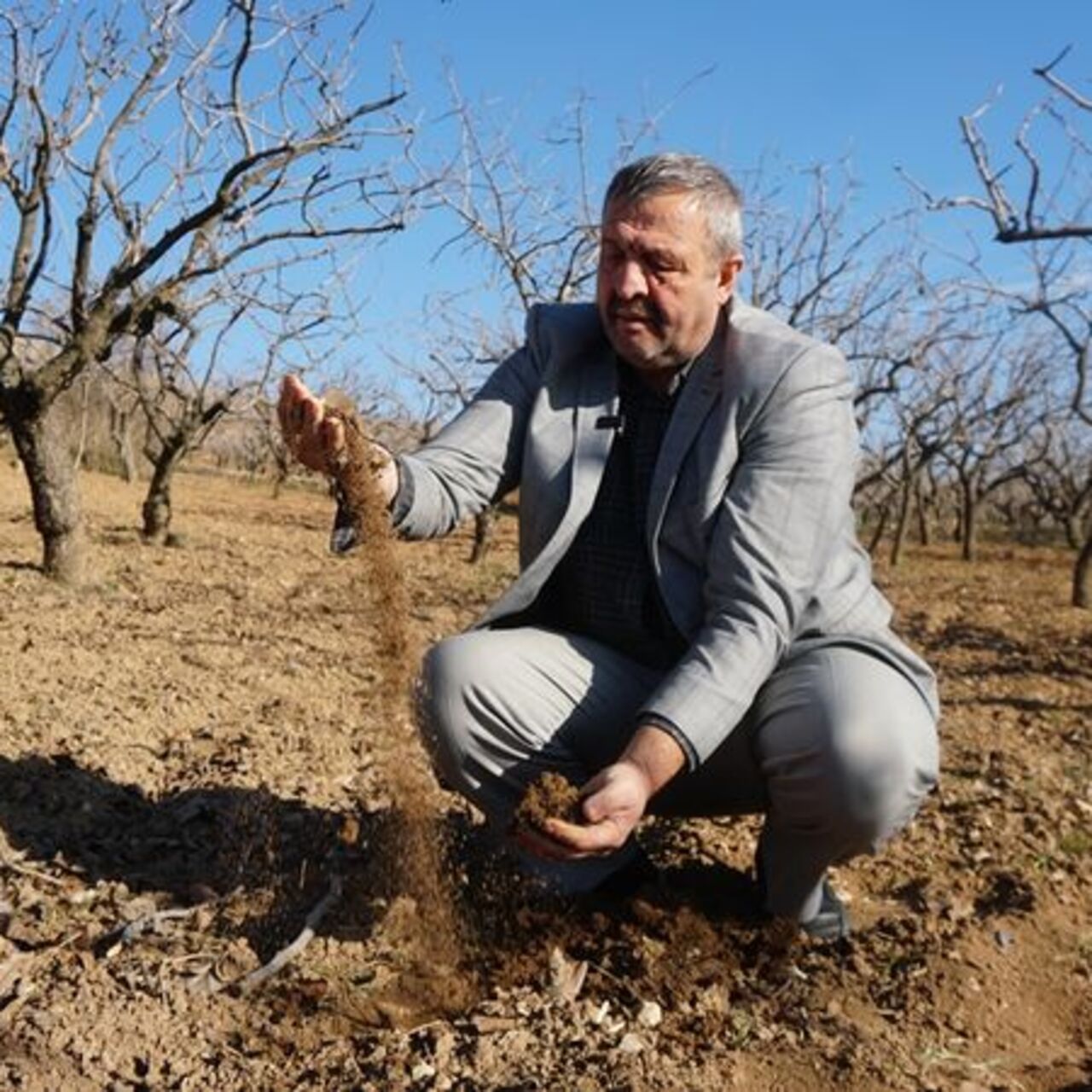 Çiftçilere fıstık ağaçlarını sulayın uyarısı!