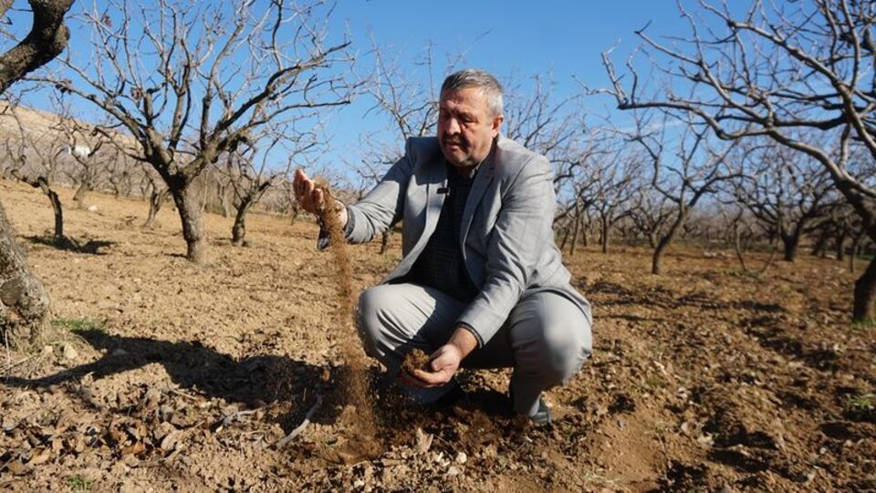 Çiftçilere fıstık ağaçlarını sulayın uyarısı!