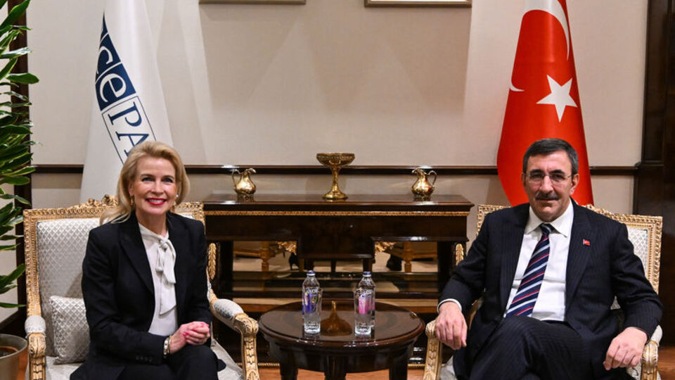 Cumhurbaşkanı Yardımcısı Yılmaz, AGİT PA Başkanı'nı kabul etti