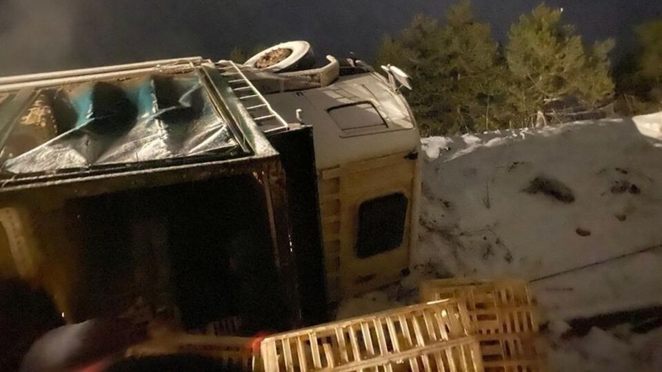 Karlı yolda kamyon devrildi: Yüzlerce tavuk öldü