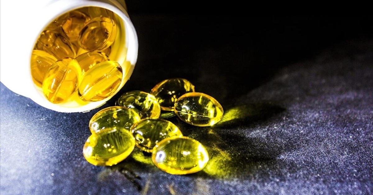 Omega-3 ve Yaşlanma Araştırması