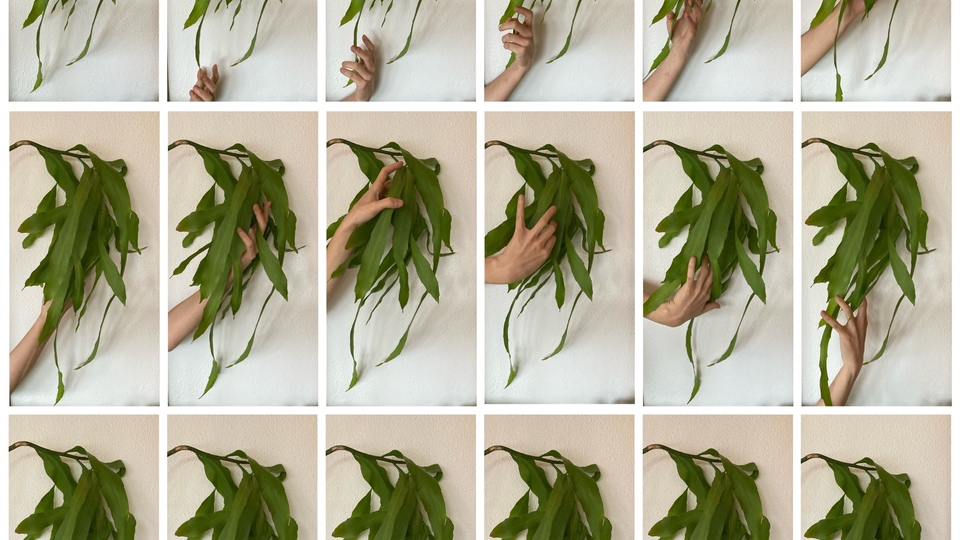 Salt'ta 'Bitkilerle Aramızda'