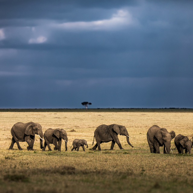  Cenaze düzenleyenler, kendi hastanelerini kuranlar...
