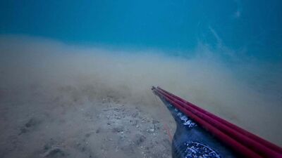 Çanakkale Boğazı'nda müsilaj yoğunluğu