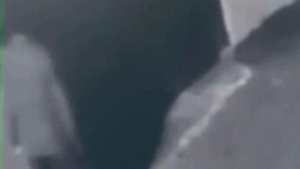 Türk bayrağını yakmıştı! İşte istenen ceza!