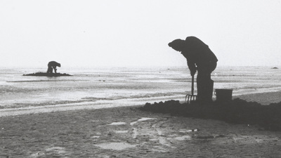 'Cinema Ecologica' seçkisi Akbank Sanat'ta