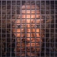 Yeni sergi: 'Yaşam, Şarkısını Söyler'