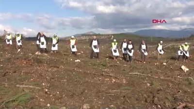 İzmir'de yanan ormanlar için seferberlik