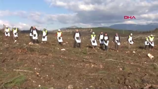İzmir'de yanan ormanlar için seferberlik