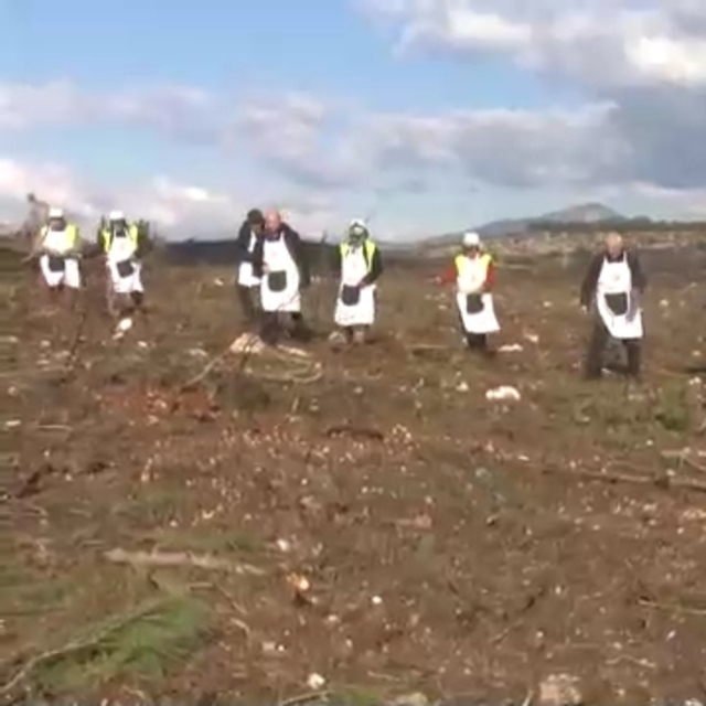 İzmir'de yanan ormanlar için seferberlik