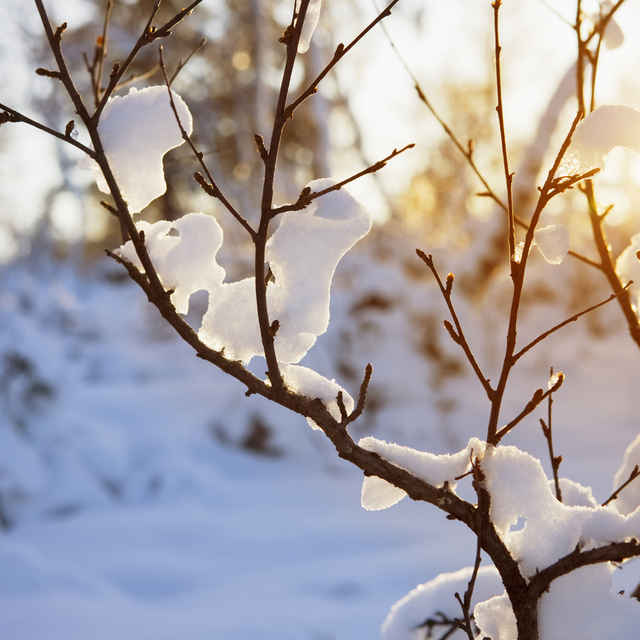  Kışın oksijen azalıyor mu?