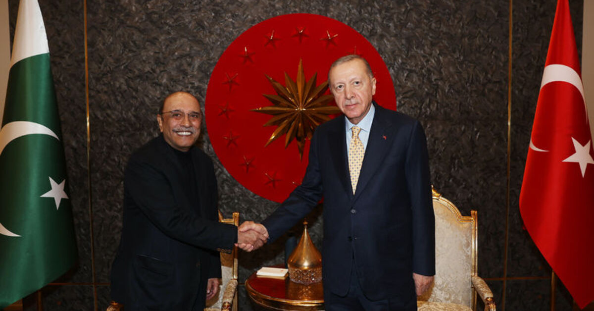 Cumhurbaşkanı Erdoğan ve Pakistan Cumhurbaşkanı Zardari